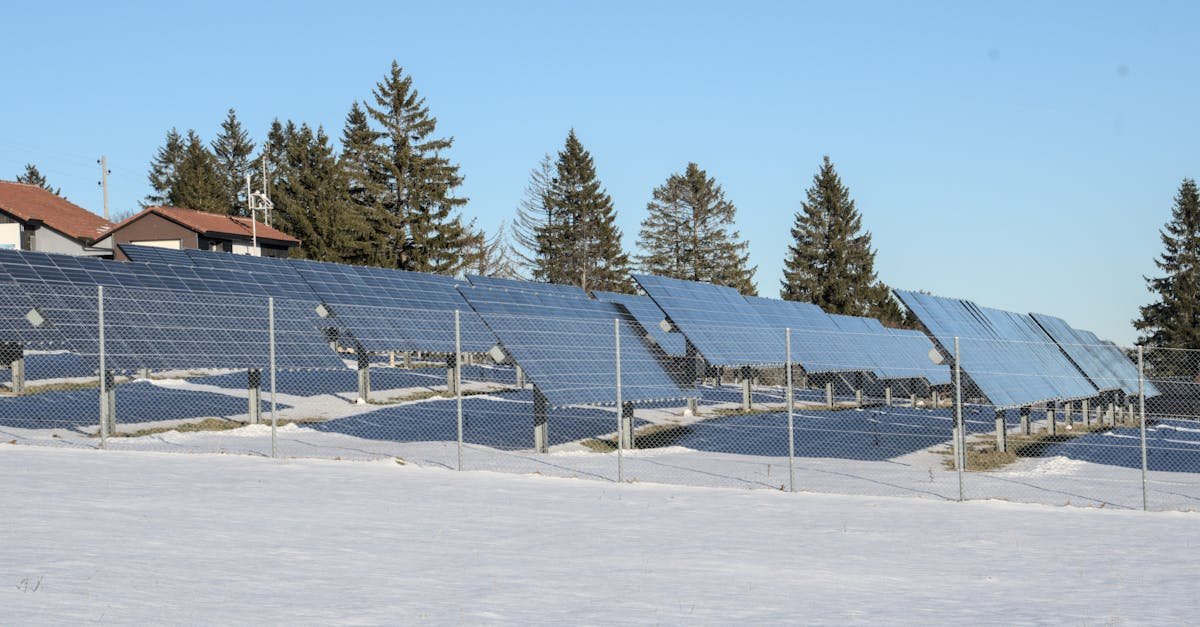 Nu rata finanțările pentru energie regenerabilă: programele active acum și cum să le accesezi