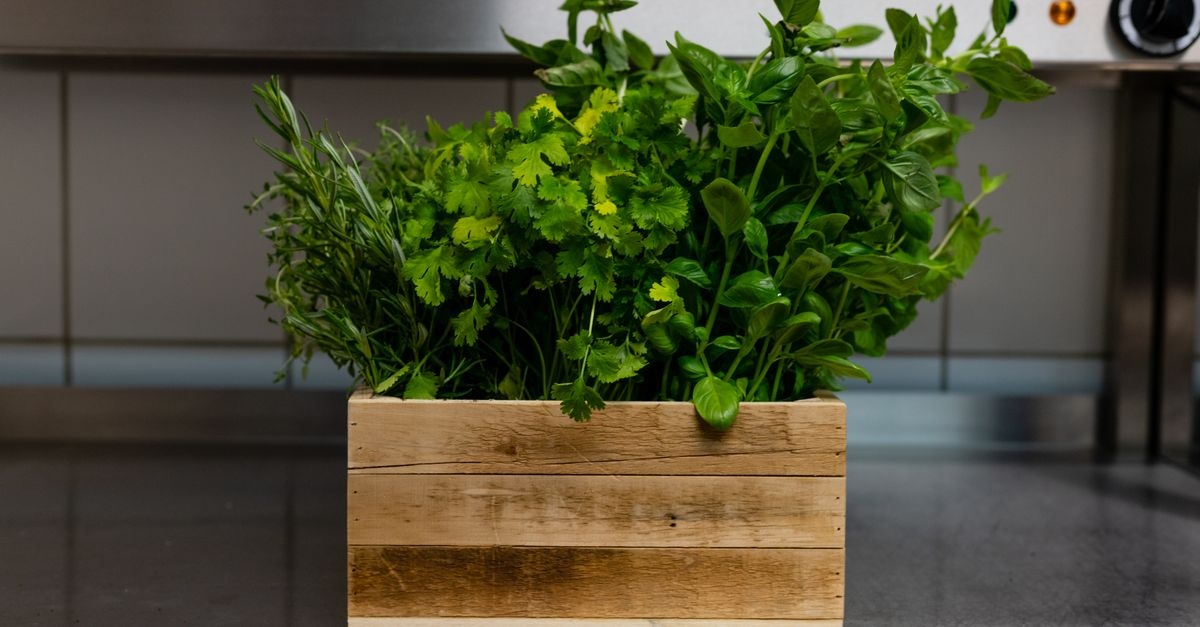 Aromele la îndemână: transformă spațiul de lângă bucătărie într-o grădină de ierburi
