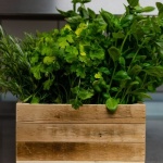 Aromele la îndemână: transformă spațiul de lângă bucătărie într-o grădină de ierburi