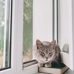Trucuri cu benzi pentru izolare termică la ferestrele PVC: păstrează căldura în casă și banii în buzunar
